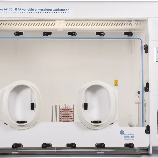 Microaerophilic workstation